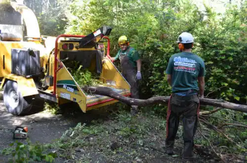 tree services Huguley